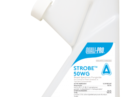 Strobe 50WG (Heritage) Fungicide Fashion