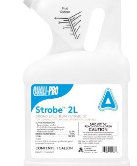 Strobe 2L Liquid Fungicide - Gallon For Discount