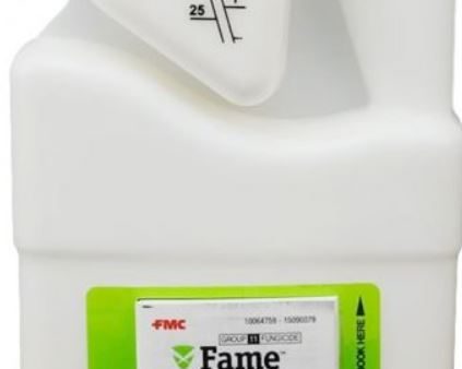 Fame SC Fungicide For Cheap