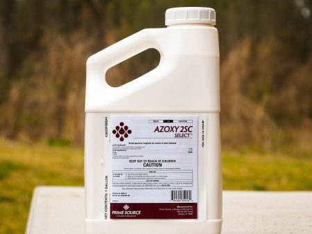 Azoxy 2SC Select Liquid Fungicide Hot on Sale